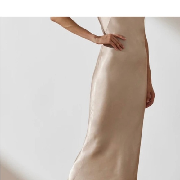 Elegant beige/brown Sleeveless Dress - Picture 2 of 7